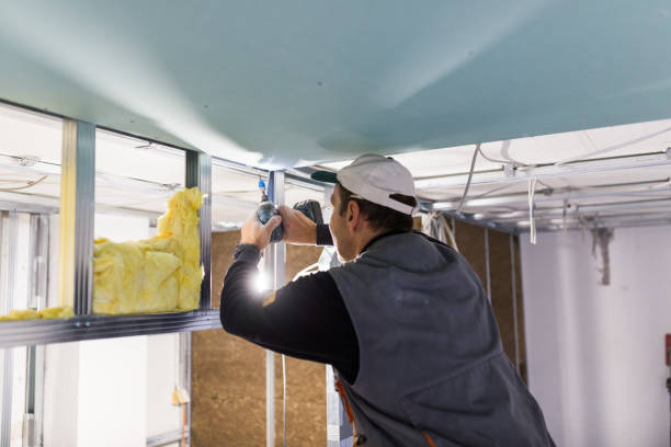 Best Home Insulation Services  in Godley, TX