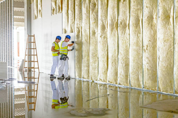 Best Insulation Replacement Services  in Godley, TX